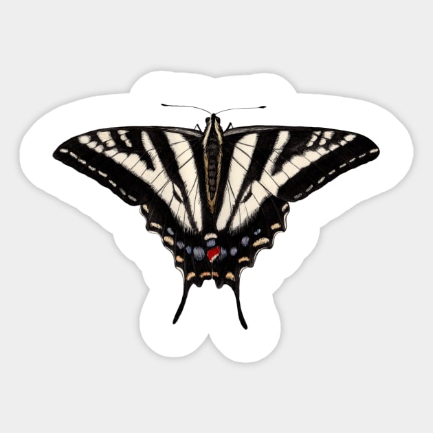 Pale Swallowtail Sticker by JadaFitch